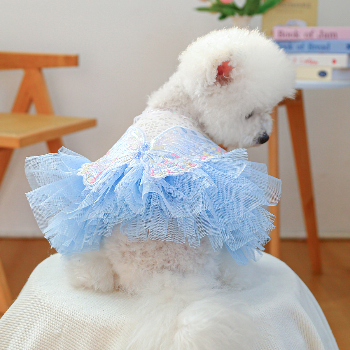 夏季宠物猫咪裙子PETCIRCLE