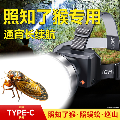 头灯照知了猴专强光款