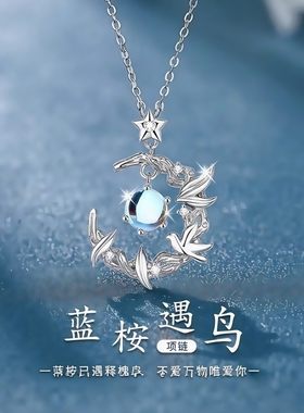 2025新款蓝桉与鸟S925纯银月光石项链女生韩版轻奢小众银饰锁骨链