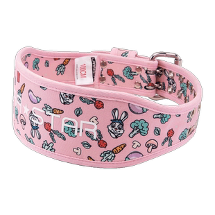 劳拉之星0881自律兔帆布健身腰带女深蹲硬拉深蹲硬拉护腰器械训练