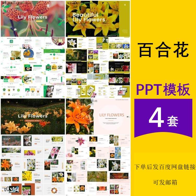 百合花ppt介绍植物花卉认识观察种植简介主题背景ppt模板