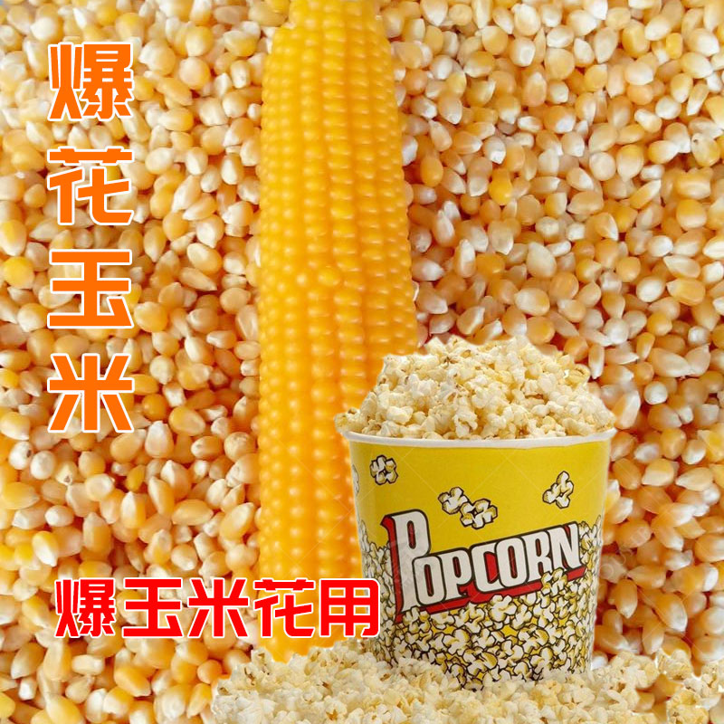 爆米花玉米粒家用专用米爆花玉米的种子爆裂小玉米种籽孑早熟高产