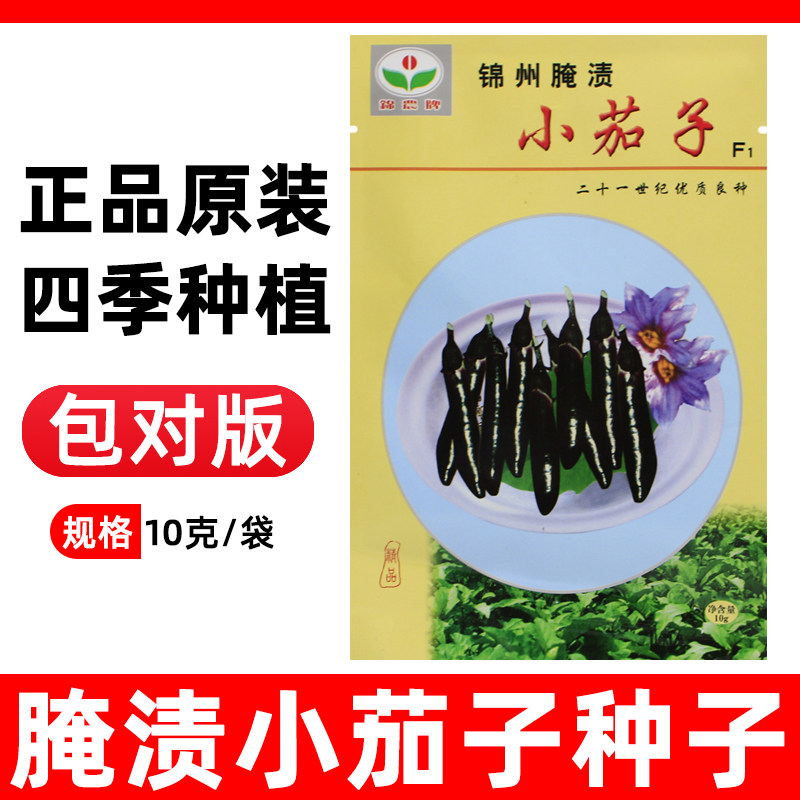 锦州腌渍茄子种子大全高端阳台菜种四季腌咸菜蔬菜种籽秋季小茄子