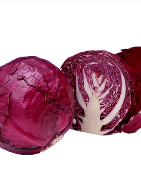 紫甘蓝种子紫色卷心菜紫包菜农家庭院阳台春秋四季易种高产蔬菜籽