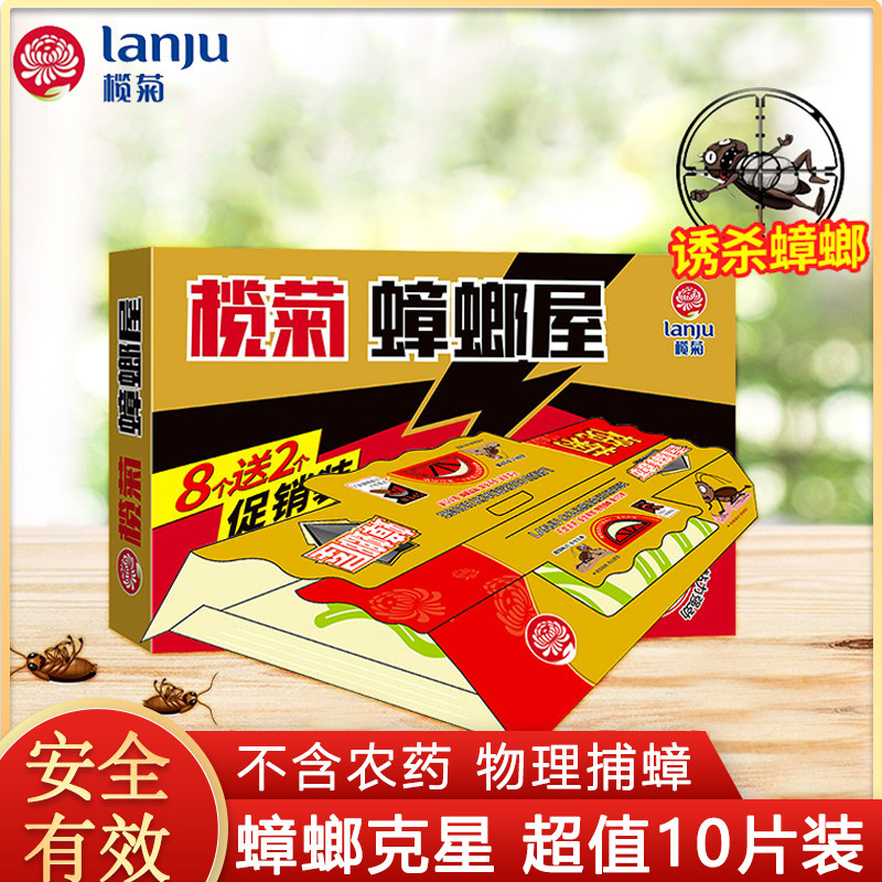 榄菊蟑螂屋10片盒装一窝端捕捉器