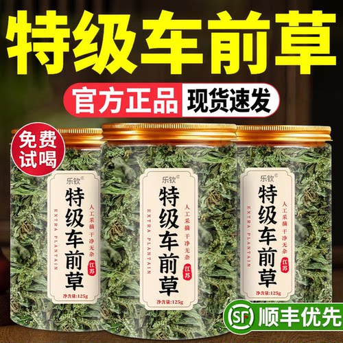 车前草野生新鲜干货中药材正品泡茶水喝功效与作用官方旗舰店3rp