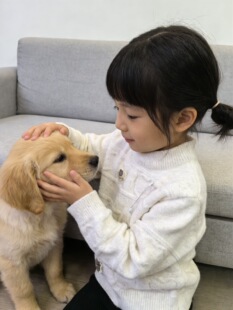 2026新款儿童冬季毛衣女中童加厚保暖针织衫冬装打底衫上衣厚