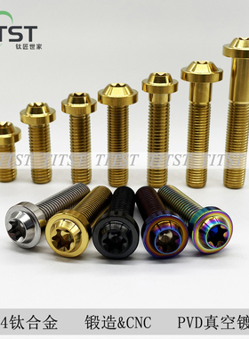 钛斯特TiTST摩托车TC4摩托车刹车盘固定钛合金梅花M10x70/80/90