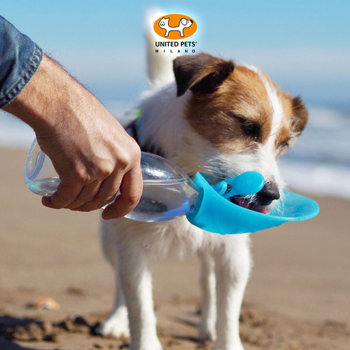 UNITED PETS宠物水壶叶子水壶 LEAF户外饮水便携式饮水器宠物用品