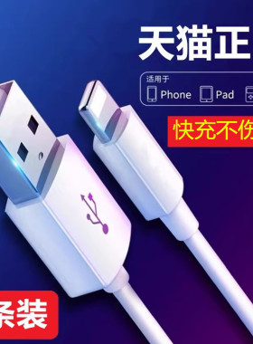 路博加 适用于苹果7/8p/11/12/13充电线器xs/xr/11Pro/12mini/14/14max手机快充数据线加长2A闪充ipad通用