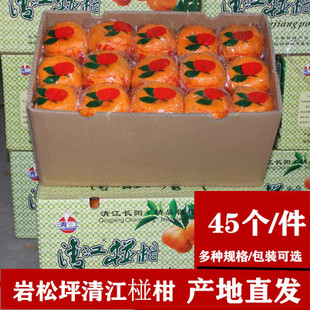 湖北宜昌长阳正宗岩松坪清江椪柑芦柑橘子新鲜孕妇水果特级果碰柑