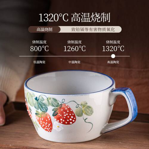 景德镇手绘陶瓷餐具泡面碗把手碗