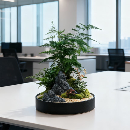 文竹禅意微景观办公室茶桌摆件教师节乔迁送礼送领导摆件四季常青
