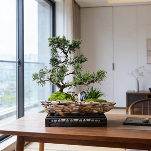 济州真柏高档茶桌盆景室内领导办公室摆件乔迁送礼好养绿植物盆栽