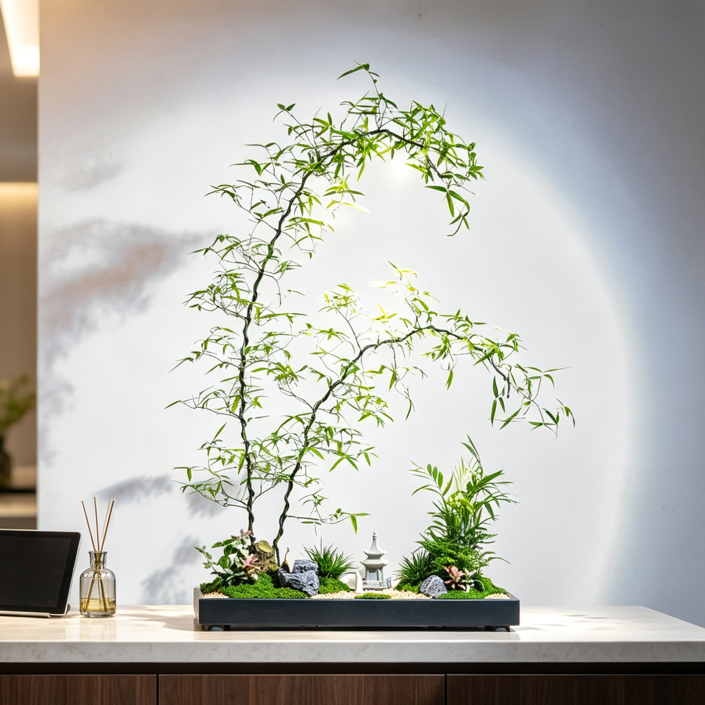 小叶簕竹桌面大型造型盆景送礼品办公室内茶桌摆件好养绿植物盆栽