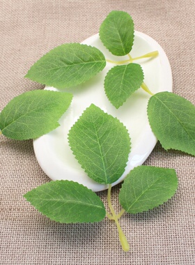 新款仿真三叉玫瑰叶绿叶 绿色 玫瑰森系婚庆diy手工配件客厅