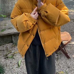 诺诺冬上新暖色系立领宽松休闲舒适保暖羽绒服外套9154