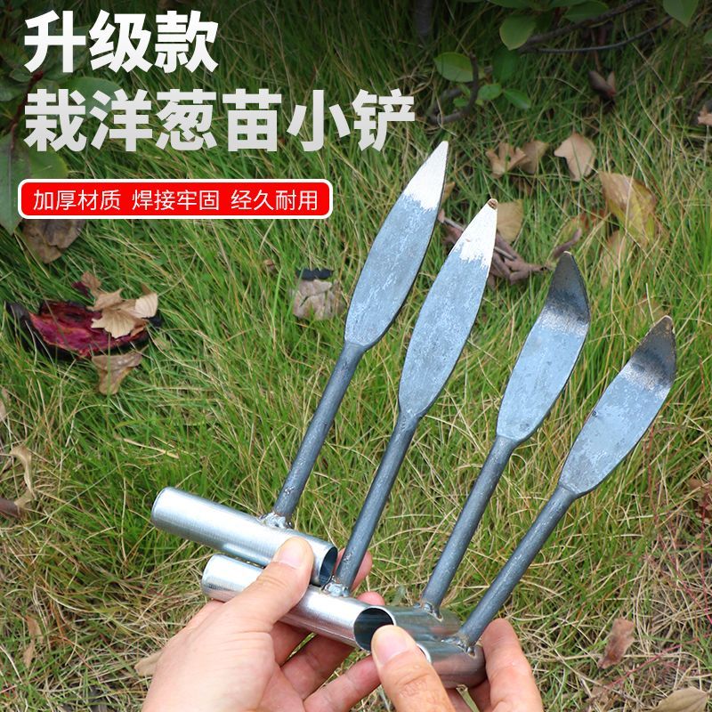 新款种洋葱小铲子栽洋葱苗铲子农用种圆葱栽圆葱工具一体成型铲子