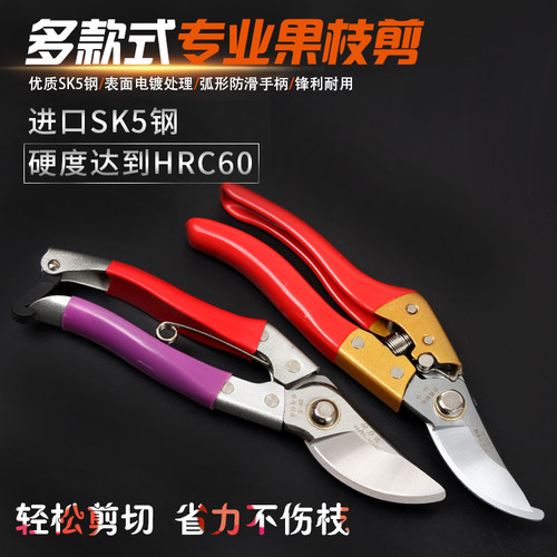 果枝剪园艺剪刀修枝剪粗枝剪园林剪子树枝花枝剪葡萄剪中草药剪刀