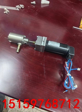 莱默尔DR 1275-03纠偏电机 MAXON 205654议价