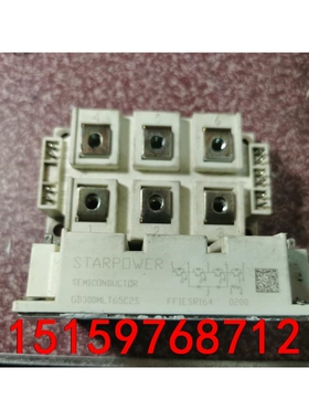 GD300MLT65C2S GD300MLX65C2S 原装议价