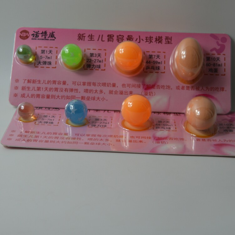 母乳喂养宣传指导教学模型 新生儿胃容量小球模型 胃容量对比模型