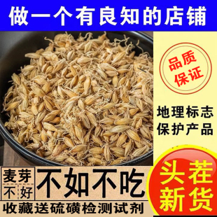 正宗炒麦芽中药材500g大麦芽回奶茶断奶泡水炒熟谷芽大麦芽正品新