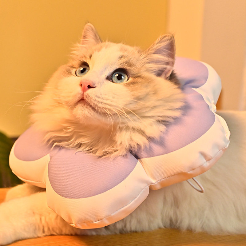 猫咪项圈伊丽莎白圈宠物围脖柔软头套伊利沙白圈防舔绝育用品