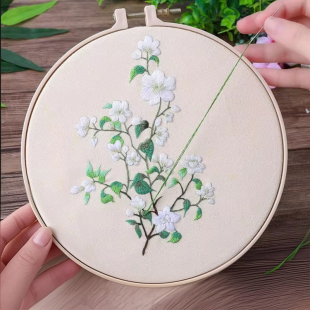 刺绣绣品手工diy材料包手工解闷新手入门布艺绣花戳戳绣缝纫鲁绣