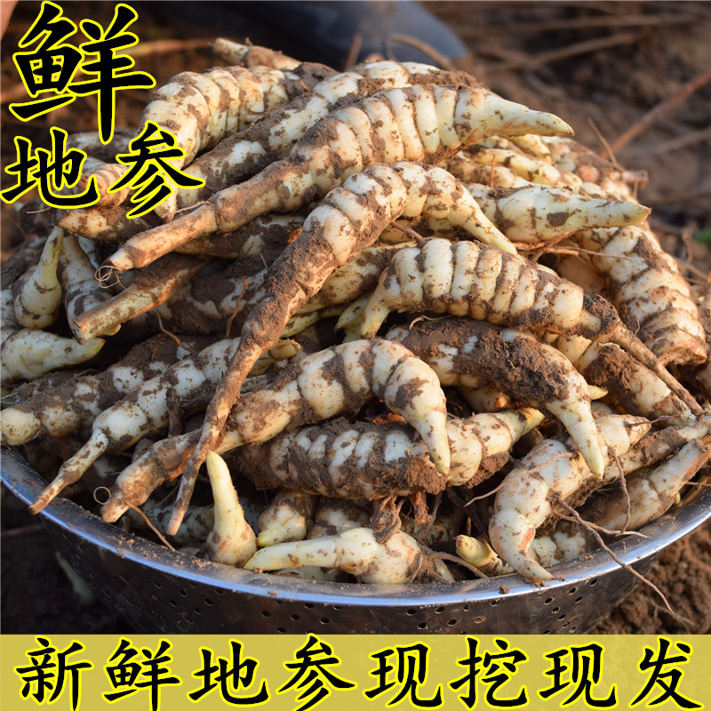 地参3斤新鲜地环虫草参地蚕子非宝塔菜种农家蔬菜银条菜地虫包邮在类目 水产肉类/新鲜蔬果/熟食, 新鲜蔬菜/蔬菜制品, 新鲜蔬菜, 其它中 - 来自Buy2taobao.com提供专业的淘宝代购服务