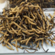 冬虫夏草野生干货正品 虫草新货肉草50g虫草西藏批发干虫草