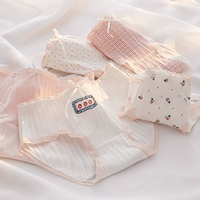 【5 Fit】 Cherry Berry