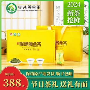 保靖黄金茶2025新茶湘西明前特级绿茶高档茶叶礼盒装长辈父母礼品