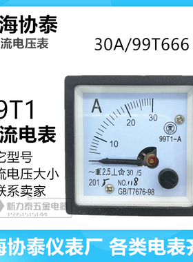 上海协泰交直流电流电压表99T1 30A GB/T7676-98（99T666）指针式