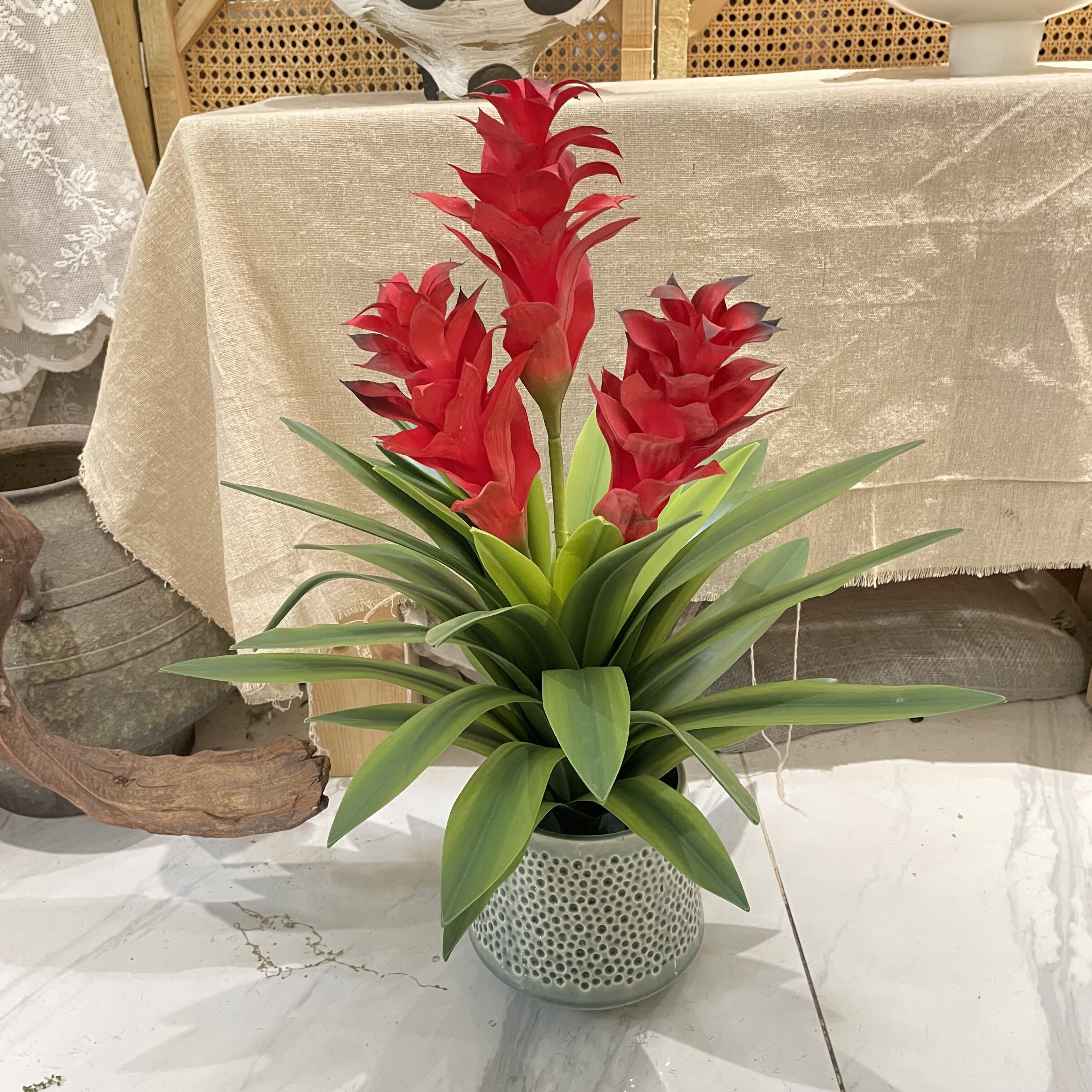 鸿运当头盆栽绿植高仿真手感软胶