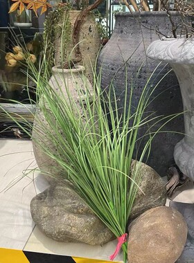 网红款仿真蒲草丛狗尾草干景落地植物灌木芦苇景观橱窗小水草