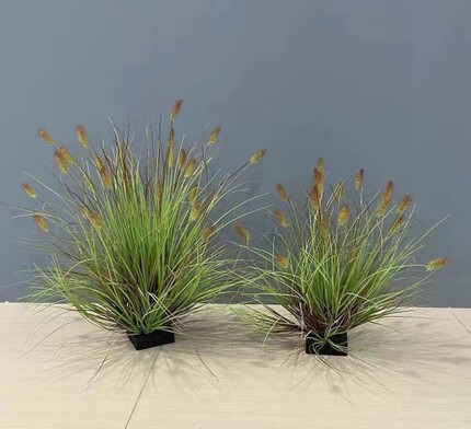 高仿真兔尾草芦苇毛毛草狗尾草装饰草橱窗布景蒲草丛草团景观造景
