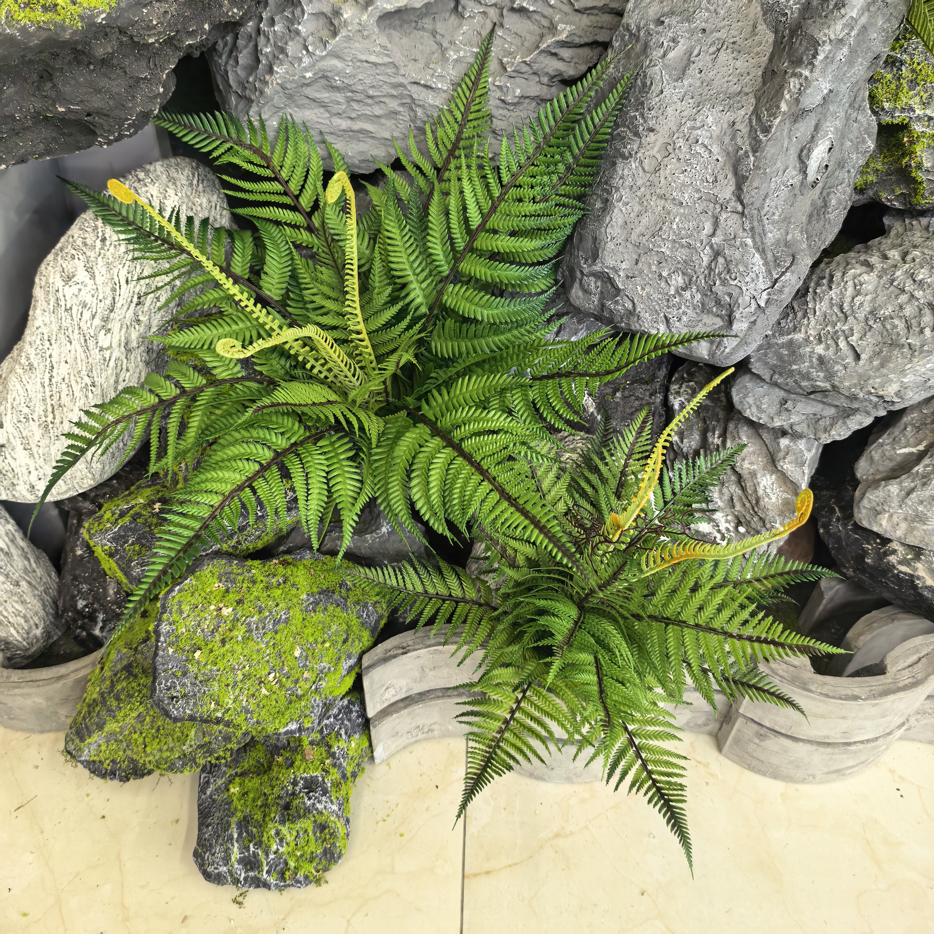 高仿真蕨类植物铁线蕨肾蕨狼尾蕨毛蕨波斯草景观造景装饰假花绿植图片