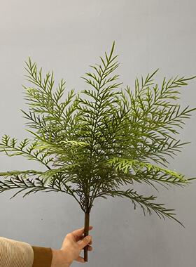 高品质蕨草植物大蕨叶蕨类植物波斯草造景绿植橱窗布景假花软装摆