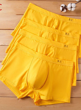 KC男士纯棉黄色内裤透气内裤四角平角内裤男大码短裤头短裤男士