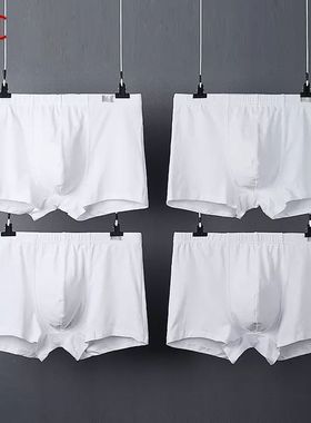 KC人男士白色内裤男纯棉四角裤透气大码平角底裤纯色全棉短裤