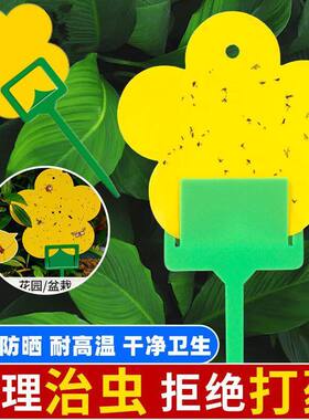 花型诱虫板强力双面粘虫板小黑飞粘虫纸家用黄色果蝇诱虫板诱捕器