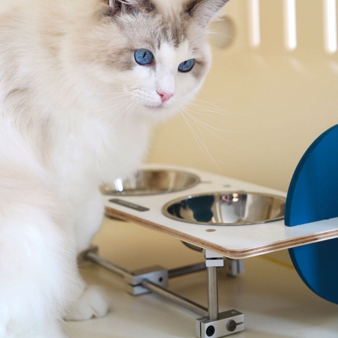 光轴现代极简风猫狗食盆护颈宠物用品木质喂食架饮水猫饭盆防打翻