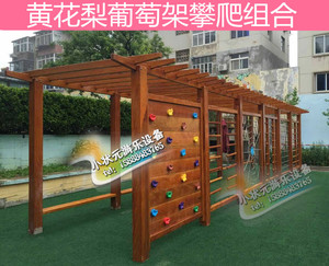 新款黄花梨体能训练攀爬架攀岩墙儿童户外长廊攀爬葡萄架组合进口