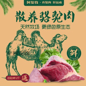 正宗精选新鲜骆驼肉健康原生态