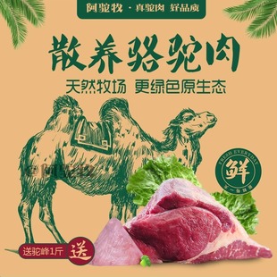 正宗内蒙古新鲜骆驼肉阿拉善自然散养驼肉腿肉生肉冷链5斤包邮