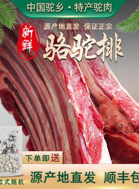 正宗新鲜骆驼肉驼排源产地
