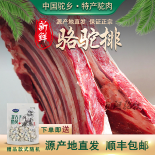 正宗内蒙古新鲜驼排现杀骆驼肉骆驼肋排排骨肥瘦相间5斤冷链 包邮