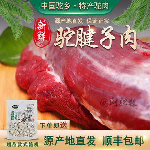 正宗新鲜现杀骆驼肉牧区散养骆驼腱子肉驼腩肉肚腩肉5斤顺丰包邮