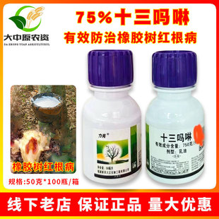 新农大正力亮75%十三吗啉橡胶树红根病专用正品农药杀菌剂